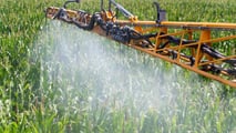 Strategie per alternare SDHI, DMI e zolfo nei trattamenti contro la ticchiolatura del melo riducendo il rischio di resistenze e mantenendo l’efficacia dei fungicidi
