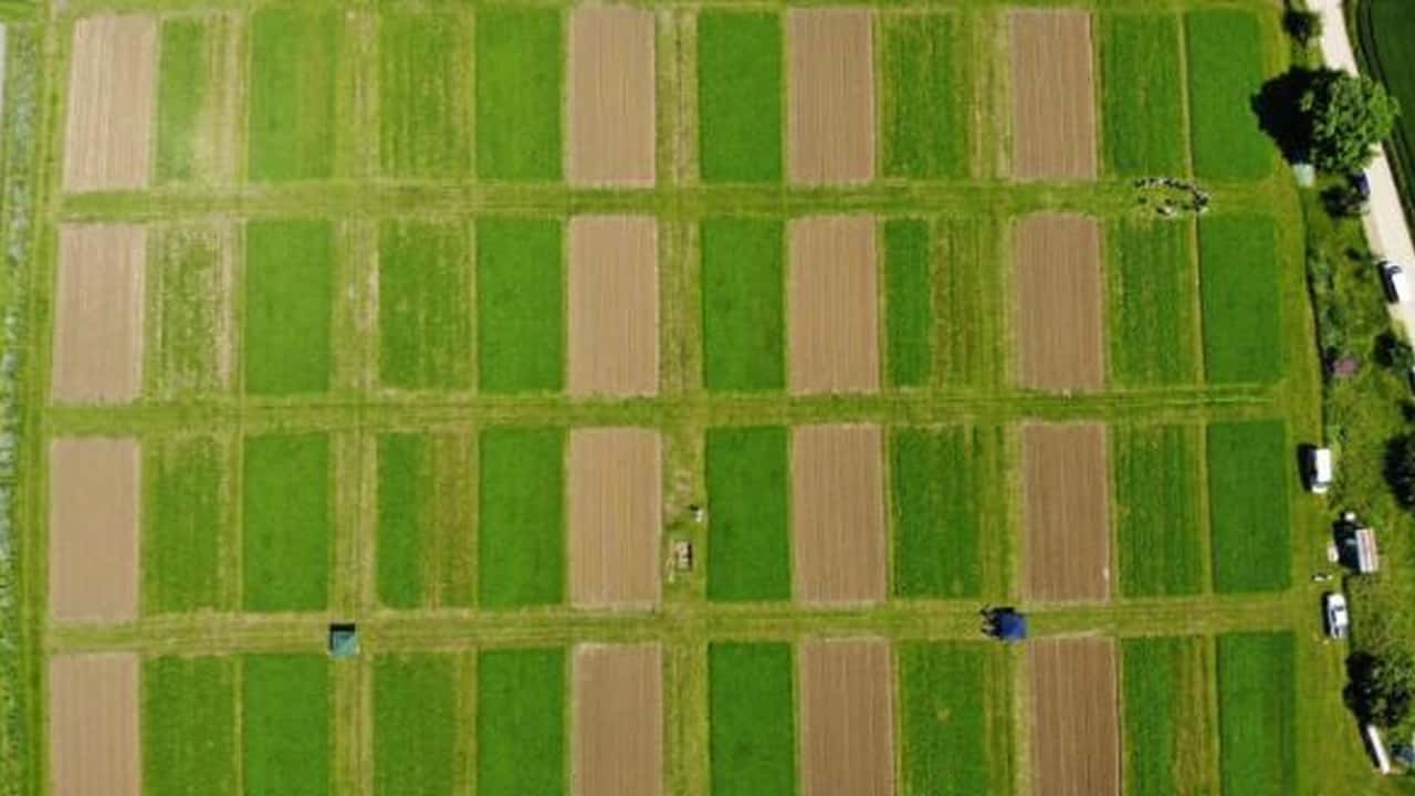 Biostimolanti e adattamento climatico nelle aziende ortofrutticole