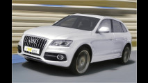 Audi Q5 scharf gemacht