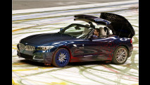Z4: Pinsel-Roadster