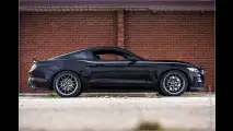 2015er Ford Mustang plus RTR