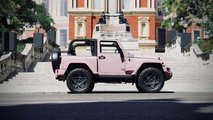 Chelsea Truck Company Jeep Wrangler Black Hawk Expedition Mum Car Profile