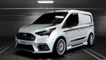 MS-RT Ford Transit Connect R120