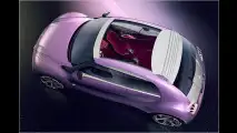 IAA: Die neue Ente?