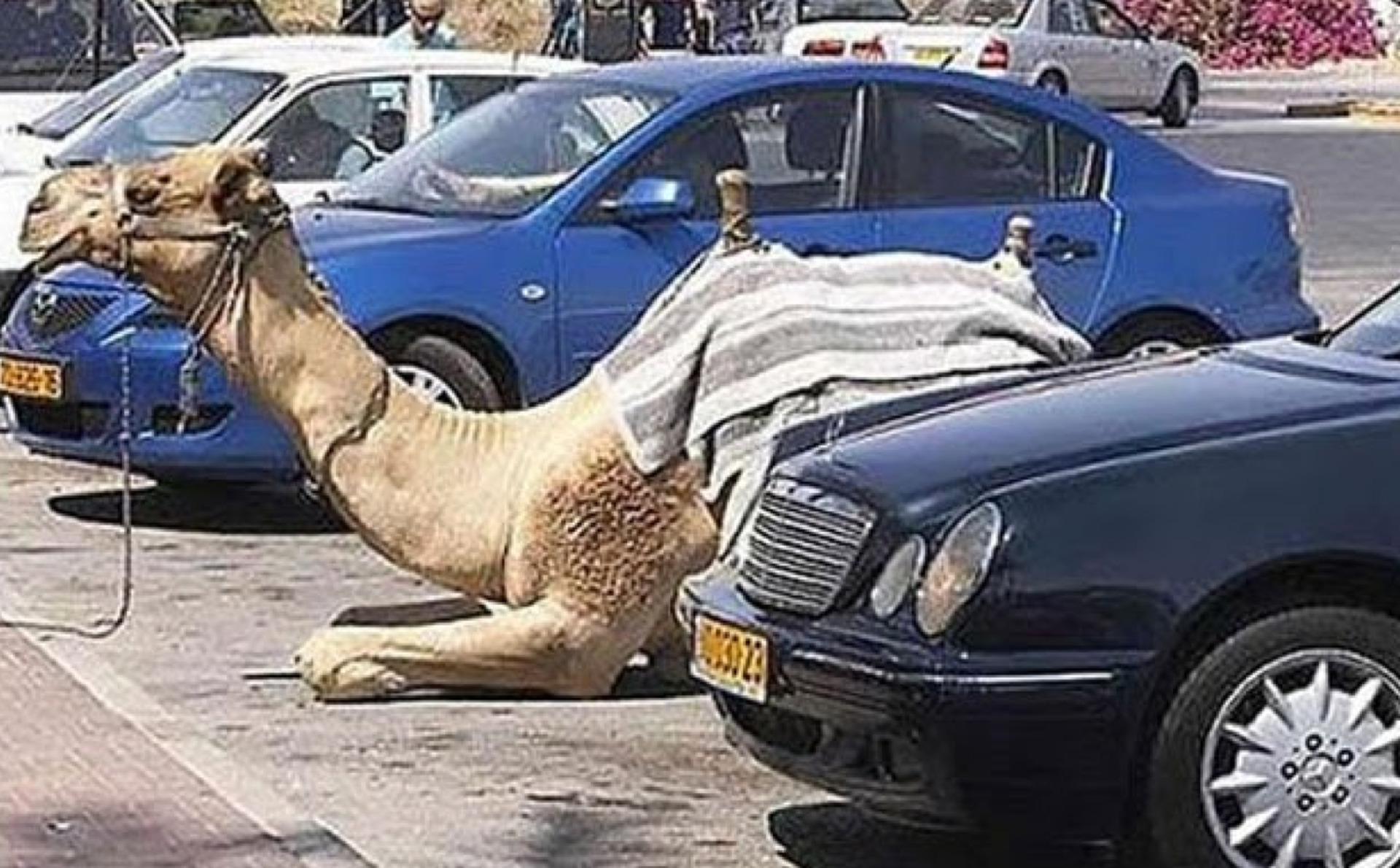 10 Worst Parking Jobs You’ve Ever Seen