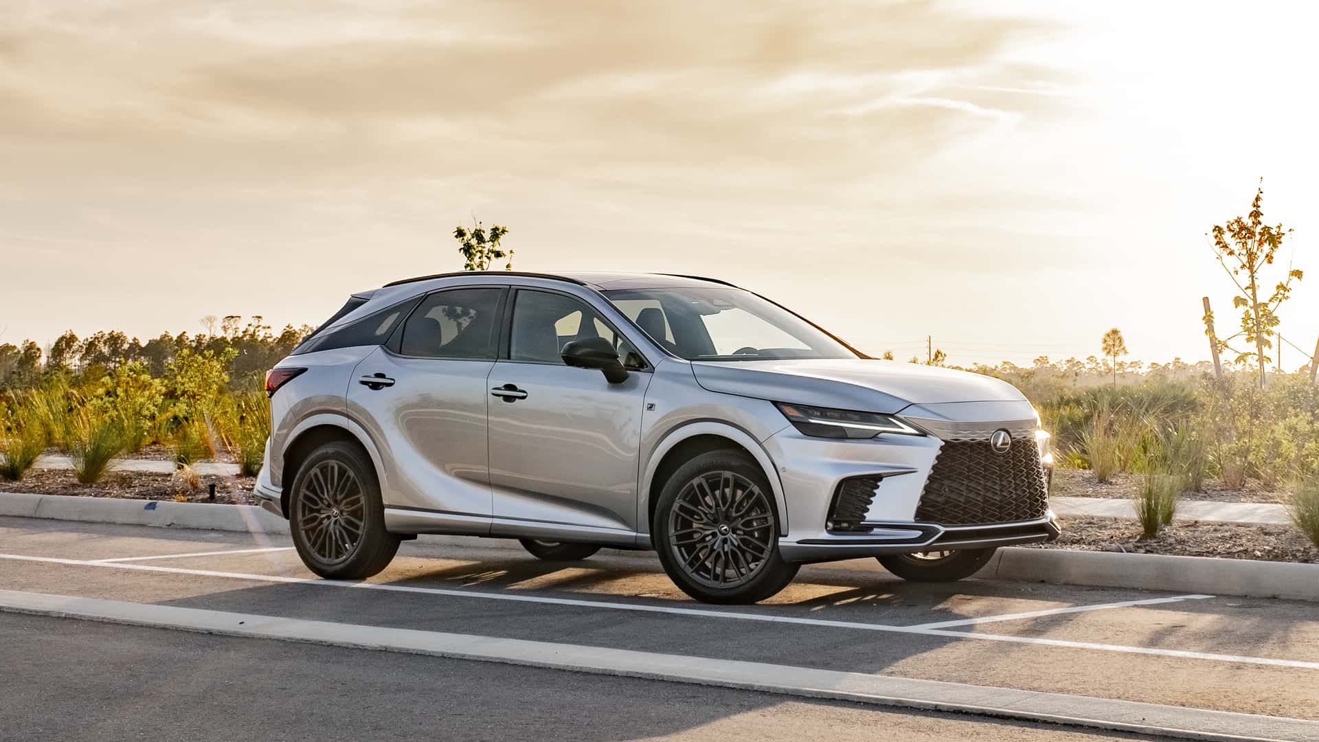 Who Is The Lexus RX 500h F Sport For, Exactly?