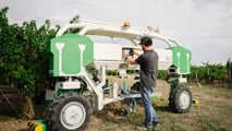 12Steps: la protezione robotica delle colture in Italia