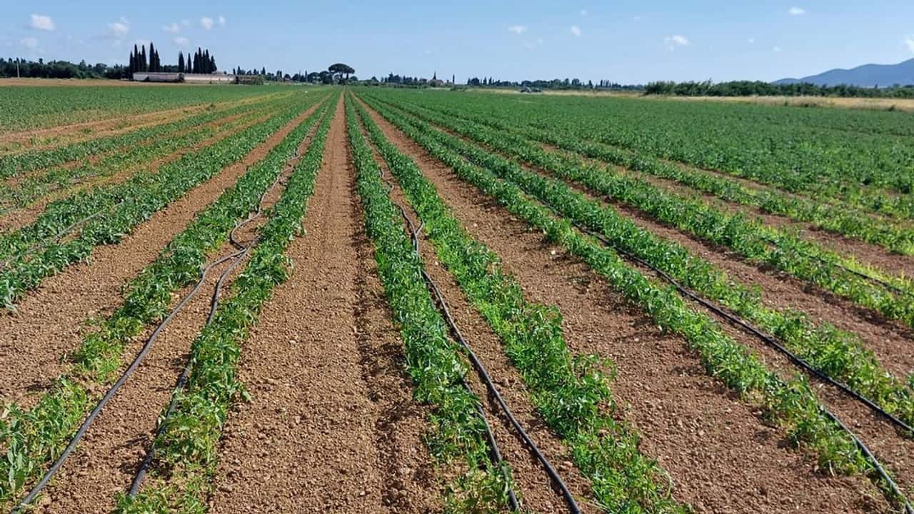 Irritec a Enovitis in Campo 2023 con l'irrigazione di precisione
