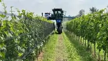 Foto - New Holland Braud 9090 L vendemmiatrice polivalente