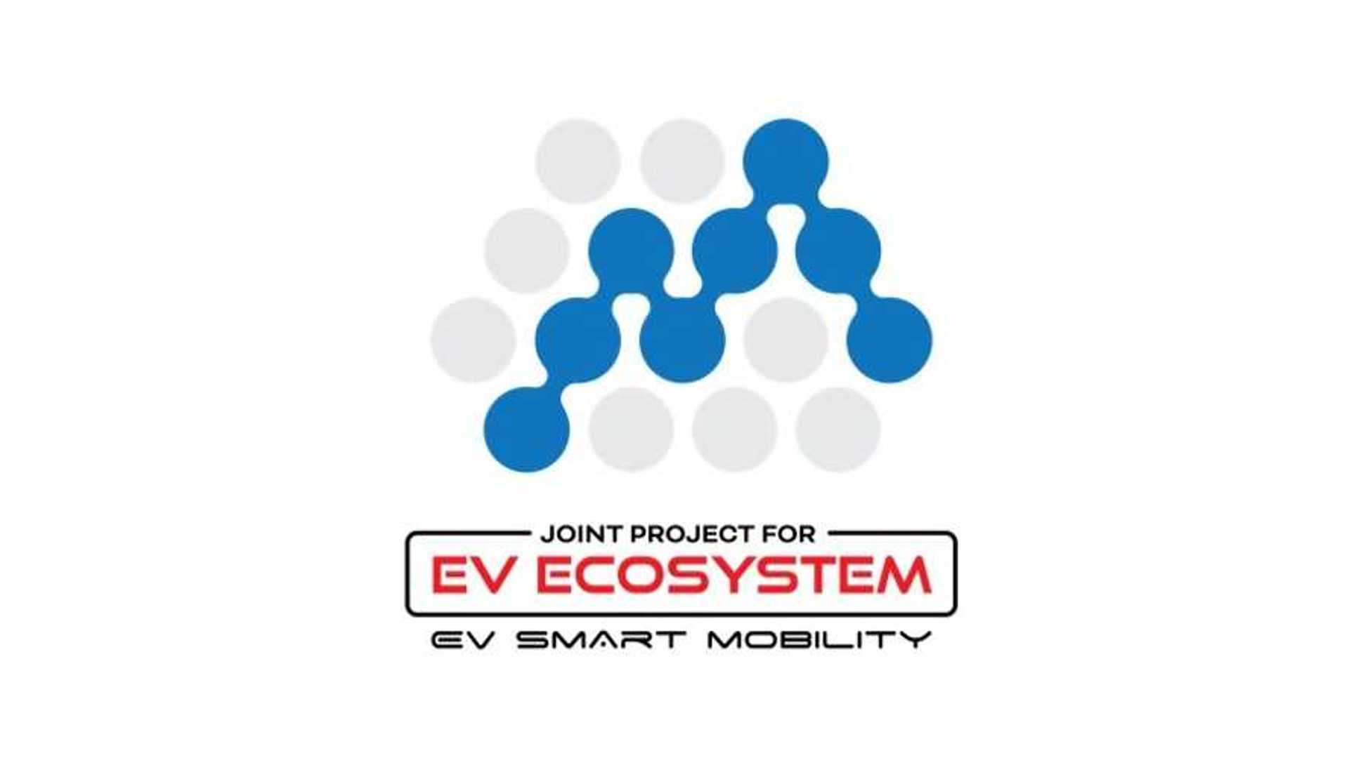 Joint programs. Joint programs