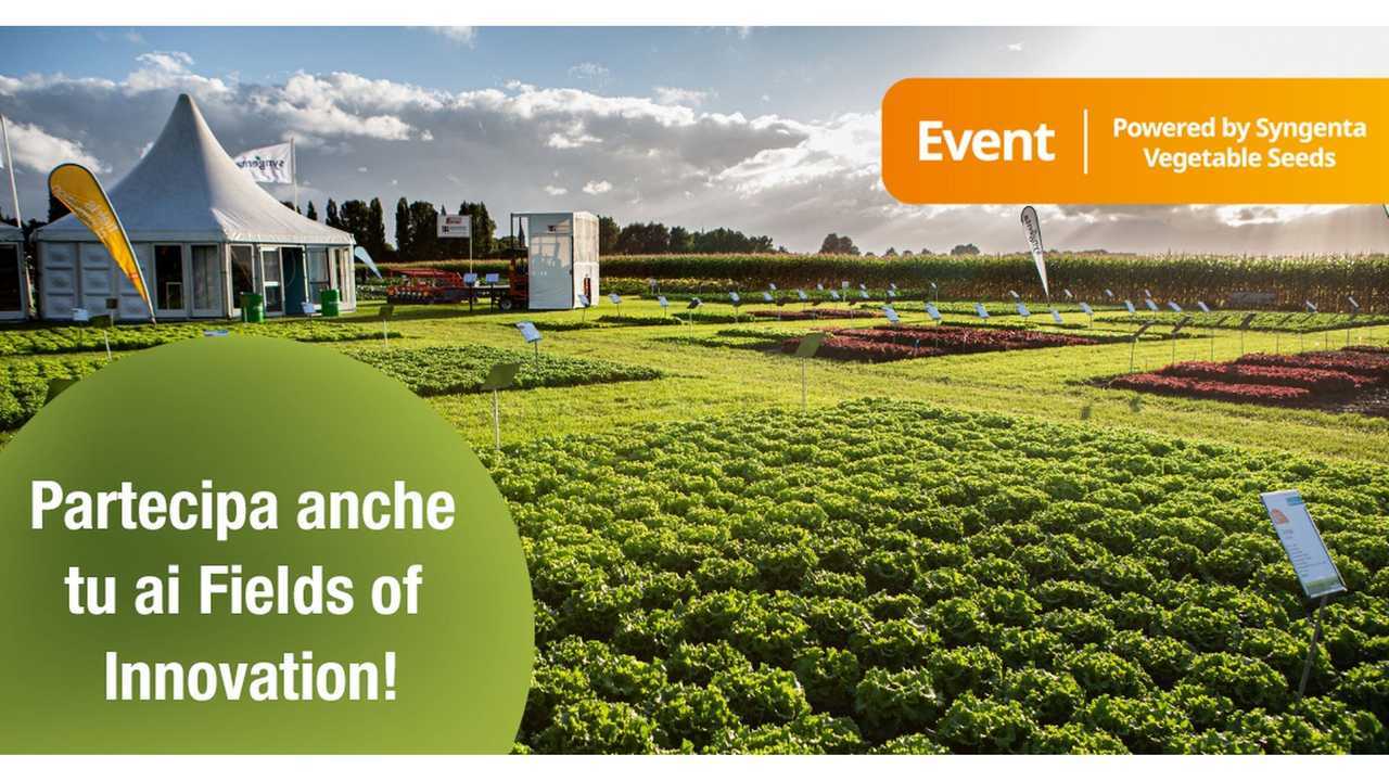 Fields of Innovation Syngenta