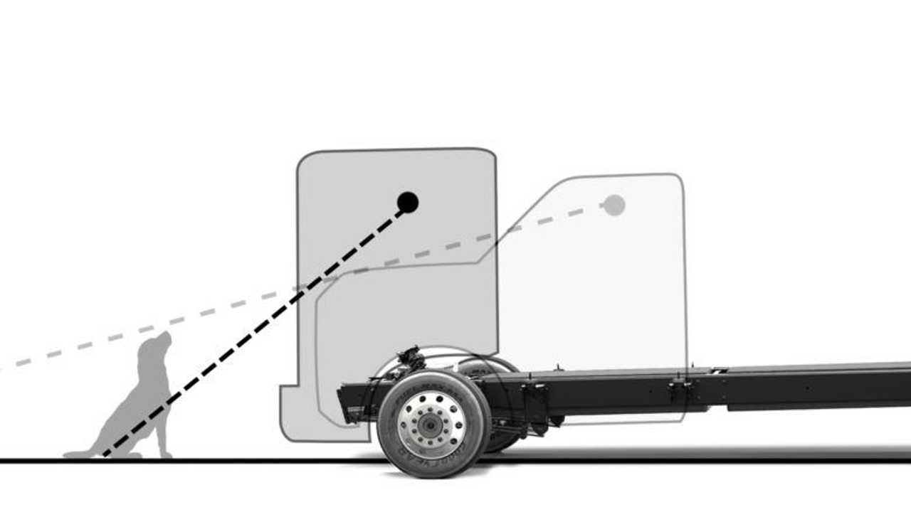 DOWNVISION-ANGLE-w-dog-1536x438