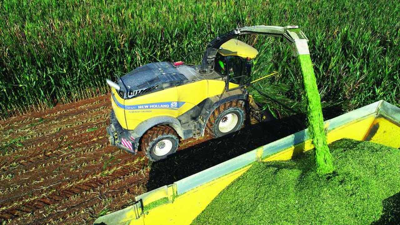 New Holland FR920 e Kemper 490+