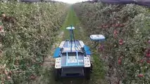 kubota11