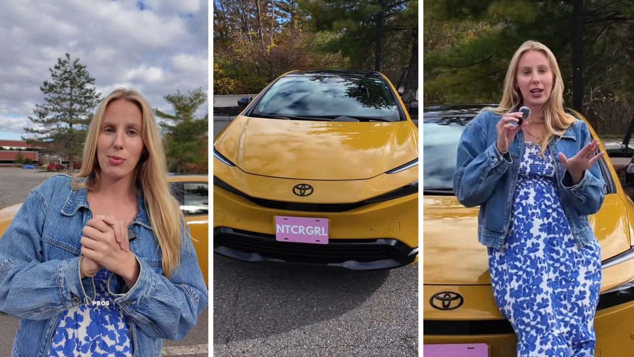 prius nightshade bees