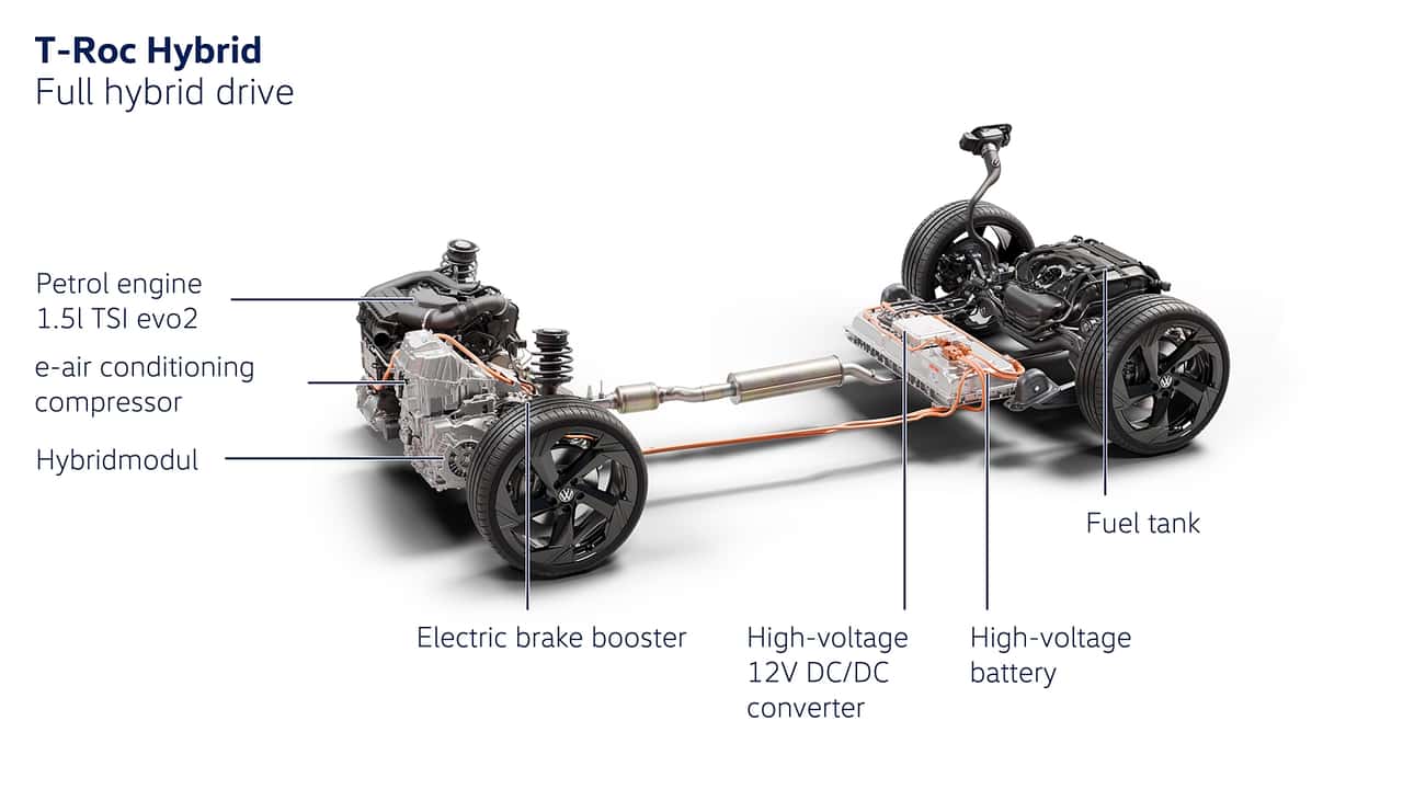 Amanda trivizas erome