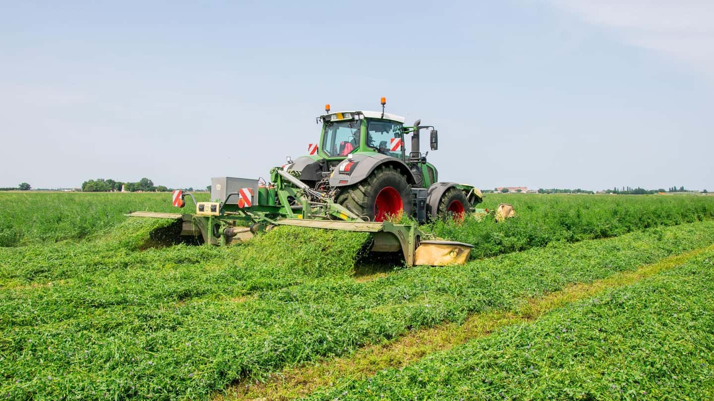 Miscele e irrigazione di precisione per prati resistenti alla siccità