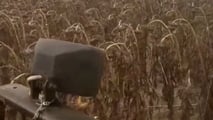 Analisi del ruolo del girasole alto oleico nelle rotazioni cerealicole, nelle filiere olio e biocarburanti e nelle scelte di meccanizzazione aziendale
