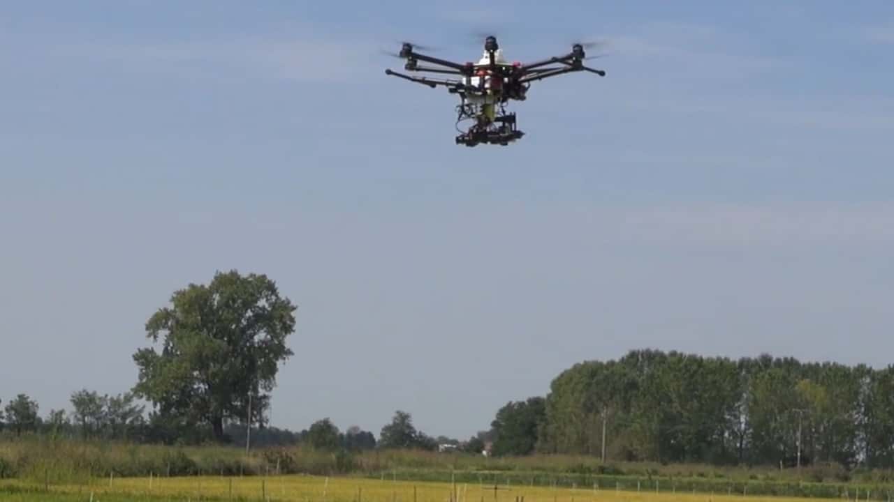 
Guida pratica per integrare sensori, app, dati satellitari e macchine agricole nella gestione digitale e data driven della risaia

