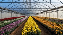  Rinnovo CCNL agricoli 2026: +5,1% e nuove tutele lavoratori