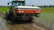 Concimazione di precisione del riso e cover crop nel 2026