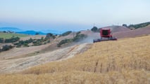Confronto tecnico tra mietitrebbie autolivellanti e tradizionali per lavorazioni in pendenza, produttività reale e valutazione del costo di possesso nel lungo periodo
