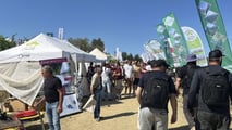 Enovitis in Campo 2026: tutte le novità tra i filari del Chianti