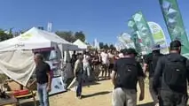 Enovitis in Campo 2026: tutte le novità tra i filari del Chianti