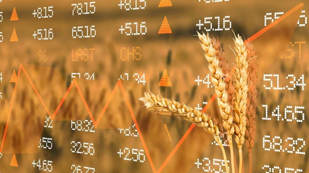 Grano duro a 270-300 euro/t e costi a 1.170 euro/ha: la mietitura 2026 è in perdita. CUN, Coldiretti in piazza e filiere a rischio.