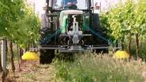 Scegliere strategie e attrezzature di diserbo e gestione del sottofila in vigneto nel rispetto di limiti normativi e obiettivi aziendali
