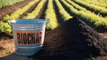 SAF e agricoltura italiana: biomasse e residui per volare verde