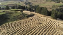 Segale ibrida in azienda da latte: rese, fibra e gestione