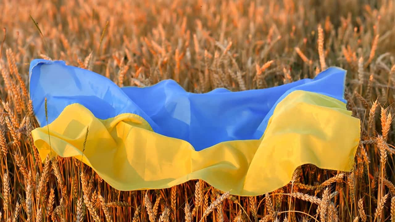 Guerra in Ucraina pesa sull’agricoltura italiana: costi alle stelle in tre anni di conflitto