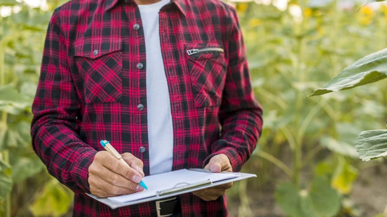 Agricoltura e Partite IVA: redditi bassi e sfide fiscali, il settore resta indietro