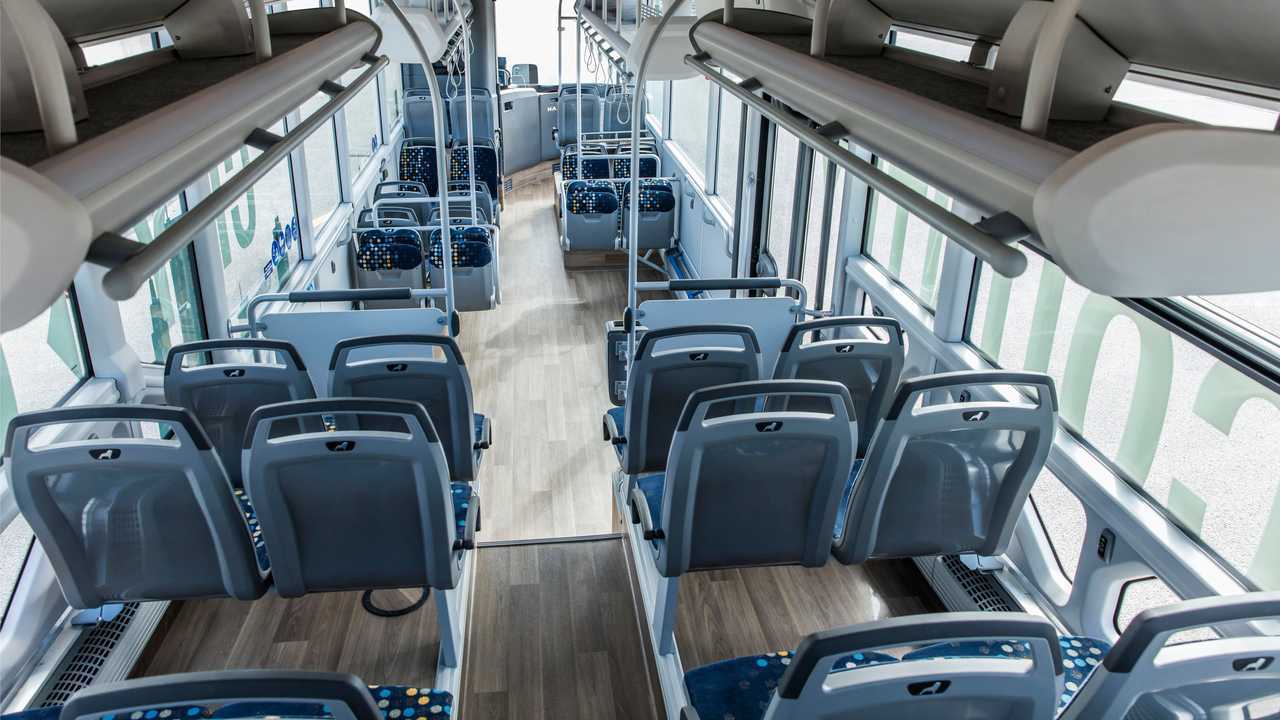 Il Man Lion's Intercity LE City