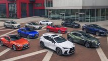Lexus Group Shot
