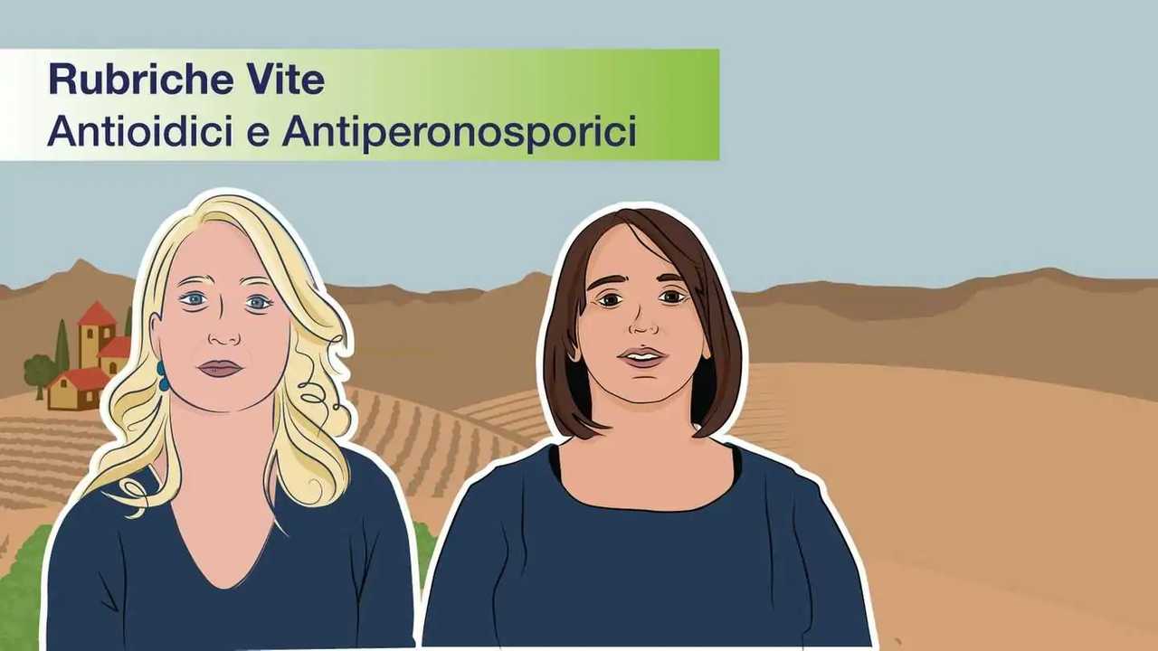 Bayer rubriche vite: lotta a oidio e peronospora