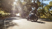 2021 Honda Rebel 1100 action trees right