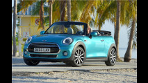 Mini Sonnenman