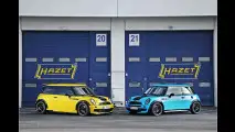 Blaugelbe Mini-Twins