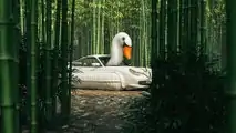 Das Porsche Swan Art Car von Chris Labrooy