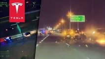tesla caught in police pursuit
