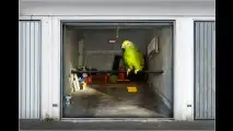 Pimp your Garage