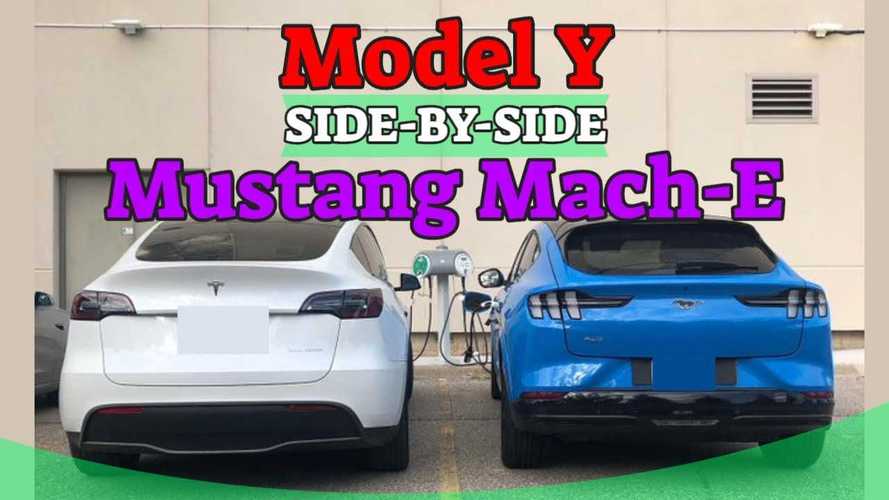 Tesla Model Y Vs Ford Mustang MachE Comparison & Infographic Hiswai