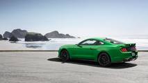2019 Ford Mustang Need For Green