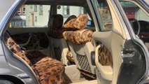 Mercedes-Benz SEL ex Bono a la venta