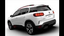 Franzosen-Tiguan