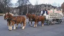 Amstel Bierkutsche aus den 1970ern