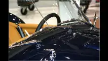 Sächsische Cobra
