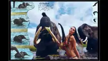Pirelli-Kalender 2009